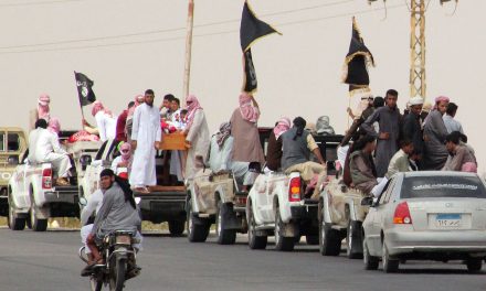كيف ترى سيطرة تنظيم الدولة على سيناء؟
