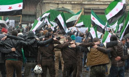 حصيلة 6 أعوام من المقاومة السورية
