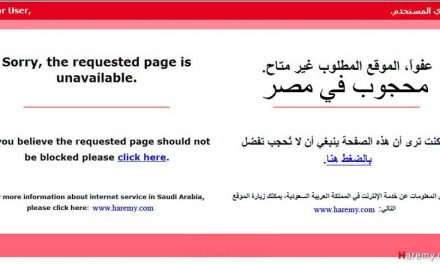 حجب المواقع الإلكترونية بمصر بدعوى دعم الإرهاب