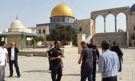 د. جمال عمرو: قوات الاحتلال دمرت الآثار الإسلامية والمناطق التاريخية في القدس