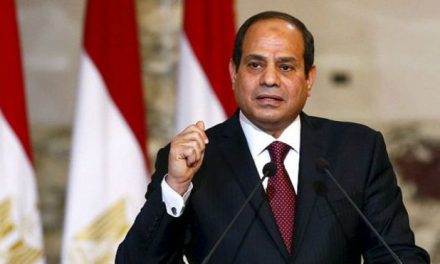 السيسي يدعو إلى صياغة “استراتيجية” لمواجهة الإرهاب داخل مصر وخارجها