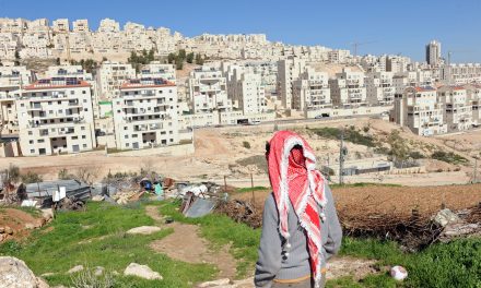 فايز أبو شمالة: السلطة غير قادرة على وقف نهب الأرض والتوسع الاستيطاني لأرض فلسطين