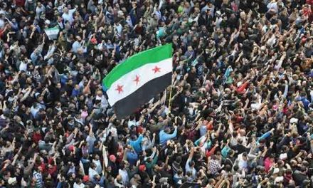 هل تعيش الثورة السورية عاماً ثامناً ؟