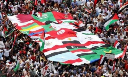 الهواري: ثورات الربيع العربي فشلت لأنها لم تعتمد على قائد