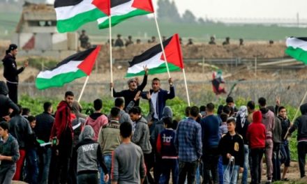 مسيرات العودة تتواصل واستعدادات لجمعة حرق العلم الصهيوني