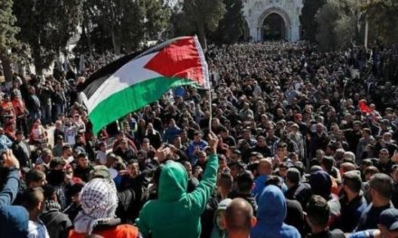 الشأن الفلسطيني| المعتصمون السلميون يجهزون لجمعة “حرق العلم الصهيوني”