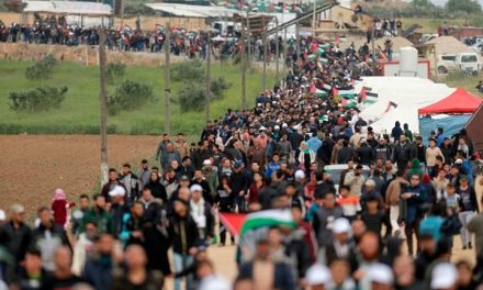 بعد مجزرة غزة.. هل تستمر مسيرات العودة الكبرى ؟