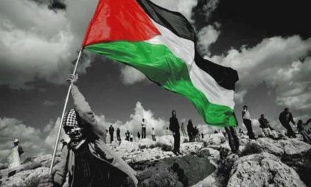 شادي أبو عويمر: هناك إرادة دولية وإقليمية لتصفية القضية الفلسطينية