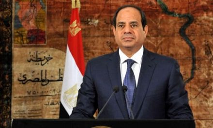 سعيد عباسي: السيسي يريد جر المصريين للعنف