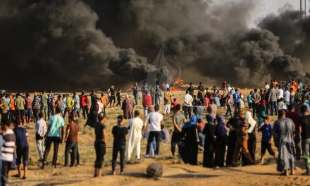 فرحان علقم : غزة أربكت الاحتلال بسبب المقاومة والتخلي عن المقاومة المسلحة في الضفة خطأ كبير