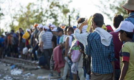 هل حقا يستضيف السيسي 5 مليون لاجئ بمصر ؟