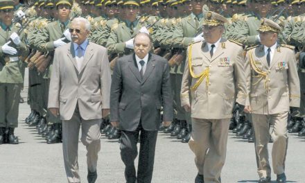 هل التجربة المصرية ستتكرر في الجزائر ؟