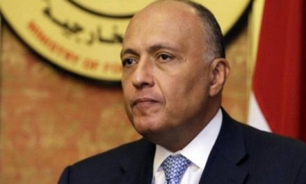 وزير الخارجية المصري يلتقي وفدا من قوات سوريا الديمقراطية