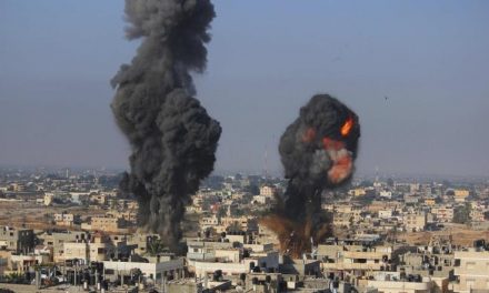 أنس إبراهيم : العدوان الصهيوني على غزة يقتضي شيء آخر غير التنديد !