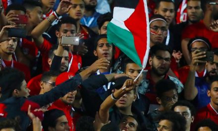 غضب مصري من القبض على مشجع رفع علم فلسطين