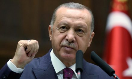 هيثم المالح يوجه رسالة إلى الرئيس التركي رجب طيب أردوغان