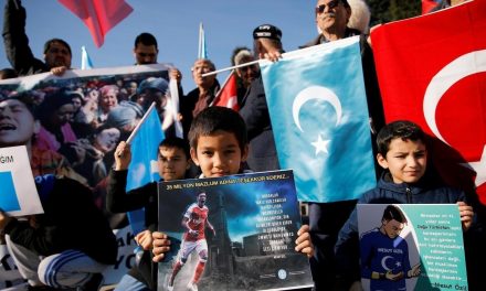 الأتراك يتضامنون مع مسعود أوزيل ضد الصين