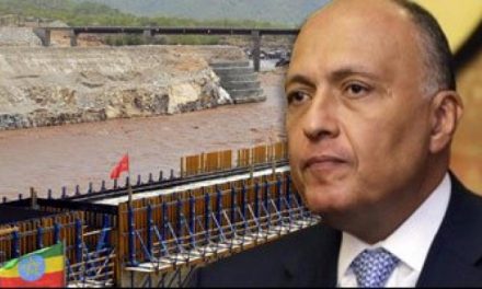 الخارجية المصرية تعلن عن اتفاق حول سد النهضة