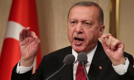 ما هي خيارات تركيا بعد سقوط حلب بشكل كامل ؟