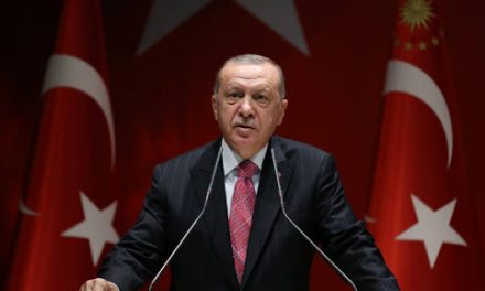 الشيخ محمد عبد الكريم يعلق على رد الرئيس التركي على تصريحات ماكرون ضد الإسلام