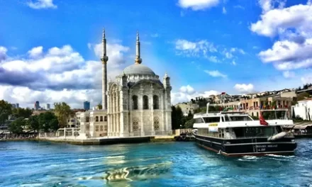 سفينة حبوب أوكرانيه تصل اسطنبول والمدارس التركية تعود للسعودية